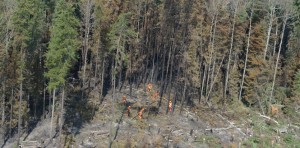 Members of B Company, Immediate Response Unit (West), extinguish hot spots near La Ronge, Saskatchewan, during Operation LENTUS 15-02 on July 12, 2015. Photo: MCpl Mélanie Ferguson, Canadian Army Public Affairs