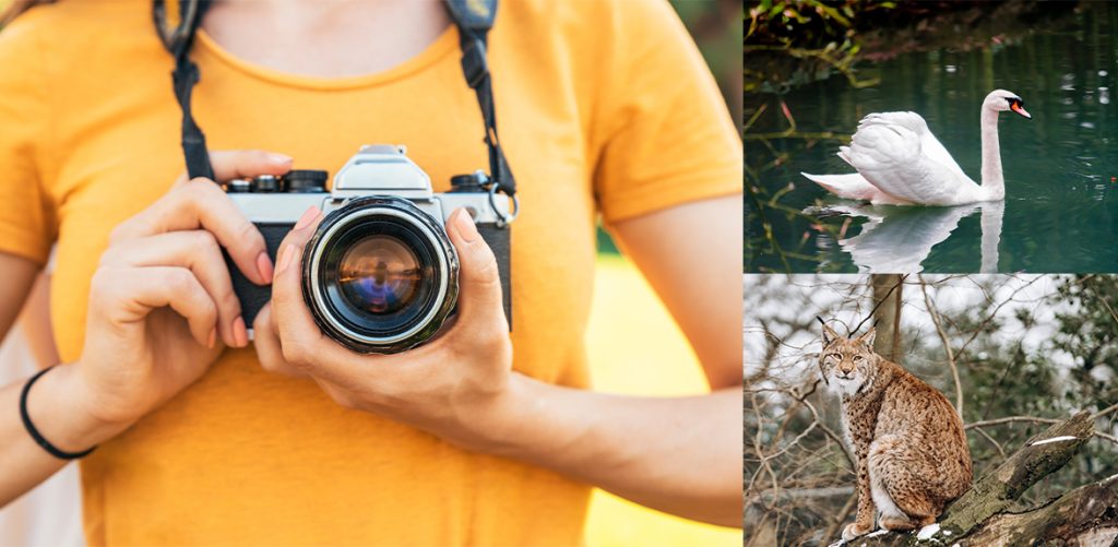 Submit your best shot for Nature Canada's Photo Contest Canadian